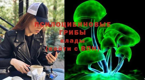 прущий лед Аркадак