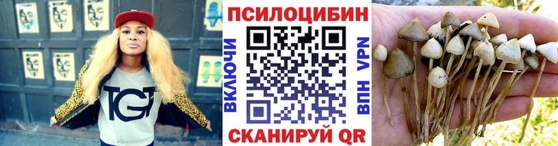 ссылка на мегу   Межгорье  Галлюциногенные грибы Cubensis 